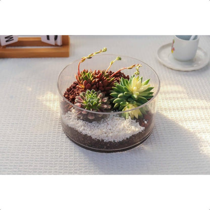 Hand-Blown Crystal Clear Glass Cylinder Vase 4\